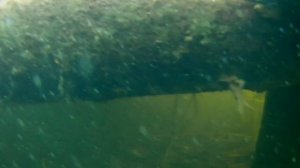 Рыбалка на озере Горнешное ( Тверская обл. Бологовский район)