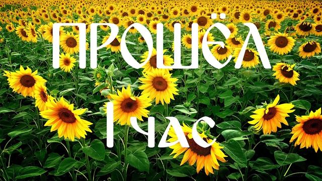 Рецепт Каравая! Рождественский Каравай!!!