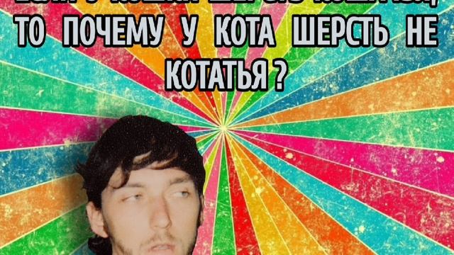 Шерсть