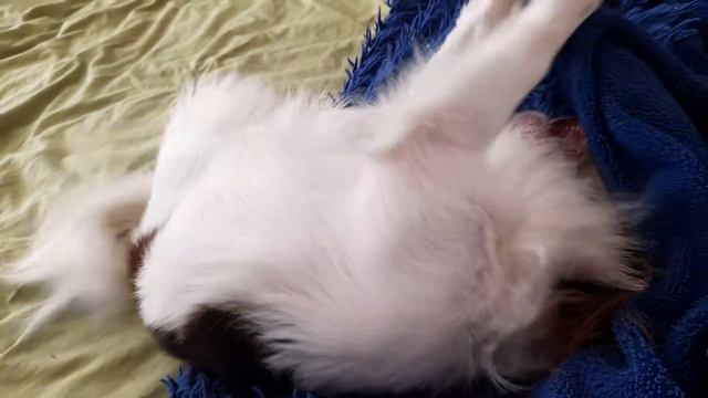 когда у тебя " не Все дома"🤣 смотреть онлайн