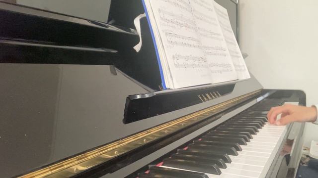 ピティナ2024年　練習14日目　近現代　「真夜中の火祭」　平吉毅州 смотреть онлайн