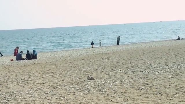 LPS) МОРЕ!!!