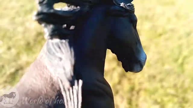 шляйх сериал "Путь к истине" смотреть онлайн