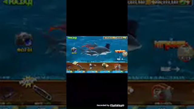 Обзор рифовой акулы и белой акулы смотреть онлайн