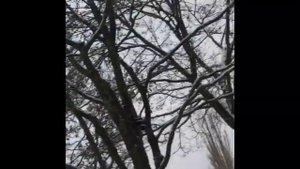 Влог прогулка по городу Марианские Лазни и лечебный источник!!