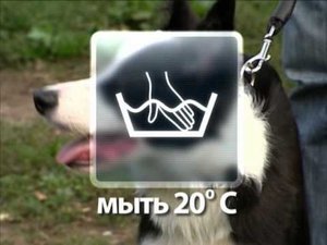 «Жизнь замечательных зверей» на канале Карусель