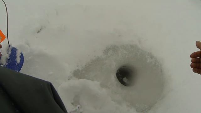 Ловля форели на пасту зимой. смотреть онлайн