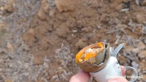 Попадание пули в гранату и тротиловую шашку.