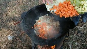 РАГУ ПО - ВЕНГЕРСКИ _ В КАЗАНЕ _ НА КОСТРЕ
