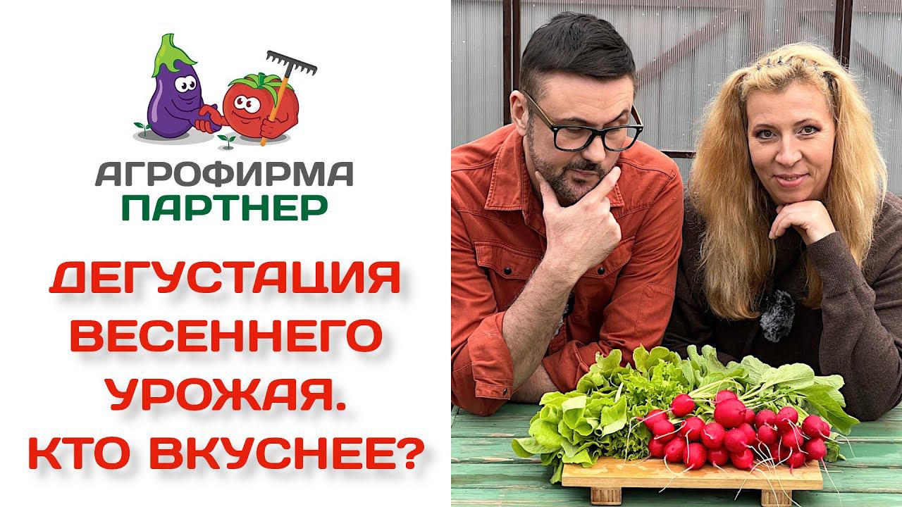 Дегустация весеннего урожая. Кто вкуснее?