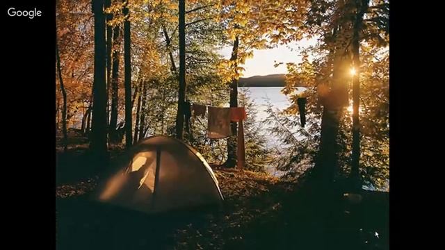 "Путь в лесах" (автор К.Г. Паустовский, читает Н.А. Самофалова) смотреть онлайн