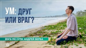 Ум друг или враг Андрей Верба