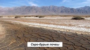 §20 "Почвы", География 7 класс, Полярная звезда