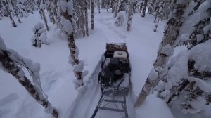 Мотобуксировщик" Барс следопыт" поездка за дровами в делянку.