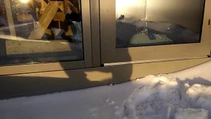 Панорамное окно (витраж алюминиевый) с дверью