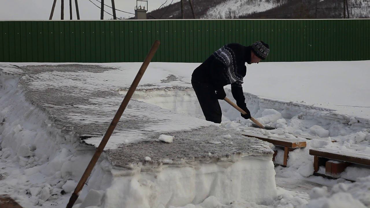 подготовка к выставке2019 смотреть онлайн