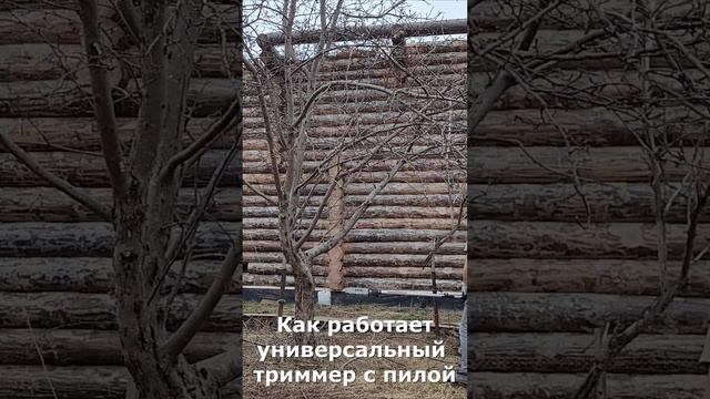 Как работает триммер с пилой #дача  #diy  #триммер  #пила  #shorts