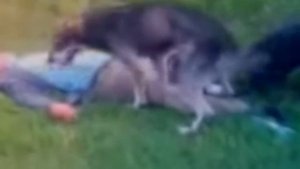 Пьяные приколы: отдался собаке