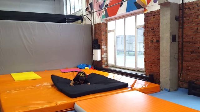 Капоэйра Санкт-Петербург - Axe Capoeira SPB смотреть онлайн