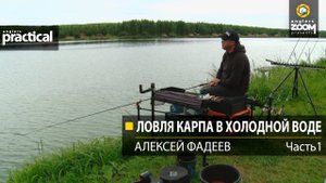 Ловля карпа в холодной воде. Алексей Фадеев.  1 часть