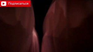 Мозг человека! Интересные факты!