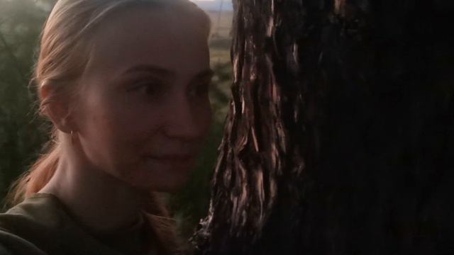 Разговорчики и проводы заката на дереве