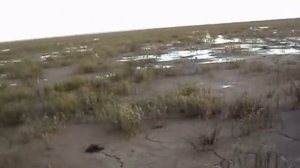 везд2 убинское оз