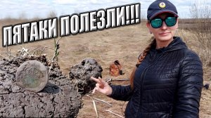 Пятаки полезли!