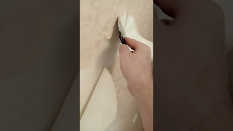 Как отдераются обои на демонтаже.