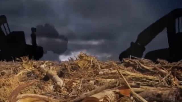 Почемучка 13-я серия смотреть онлайн