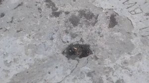 Единственное в мире сооружение для добычи воды из воздуха. Чаша Зибольда. Крым.