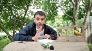 ПЕРВАЯ ПОМОЩЬ ДЕКОРАТИВНЫМ ПТИЦАМ ПРИ БЫТОВЫХ ПРОБЛЕМАХ.
