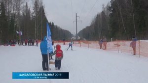 Детская лыжная гонка. Шибаловская лыжня 2018. Масс-старт 1,5 км. М 2008 и мл.
