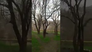 Стоянка древних людей. Чукурча, Симферополь,Крым
