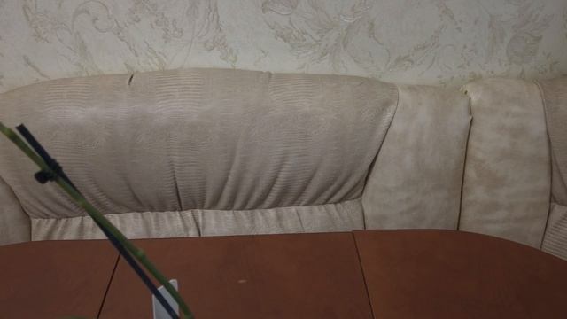 Ароматная орхидея Фаленопсис Лиодоро особенности сорта ?