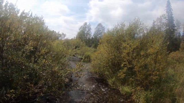 Северный Урал. Печоро-Илычский заповедник смотреть онлайн