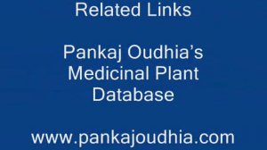 Octonary Ingredients of Selaginella repanda Formulations: Pankaj Oudhia's Medicinal Plant Database