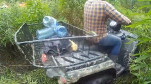 Тихая охота - Сбор кедровой шишки