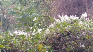 Köln , Chorweiler Nord .Район в котором я живу
