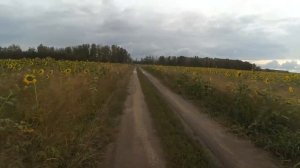 Муравей с двигателем от мотоколяски ( проэкт) промежуточное видео часть4 Рулевой демпфер в действии