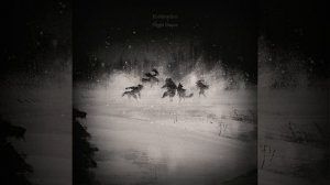 Ночной Танец – Визуальная Новелла "Зайчик'