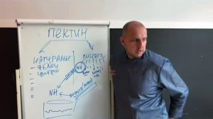 Пектин  Виды пектина Отличия от Желатина