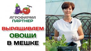 Выращиваем овощи в мешке