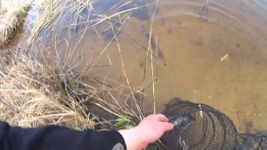 Рыбалка на оз. Удомля