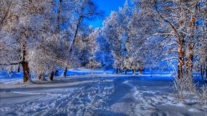 Стихи - Ф.Тютчев - "Чародейкою Зимою..."