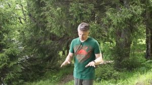 Как выбрать место под палатку?