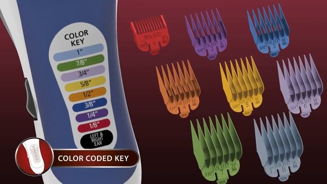 Wahl Color Pro Haircutting Kit (#79300-400) смотреть онлайн