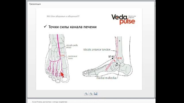 Канал Печени, диагностика и методы воздействия