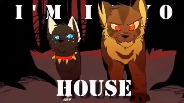 Коты Воители| Охота за лисицей| клип смотреть онлайн