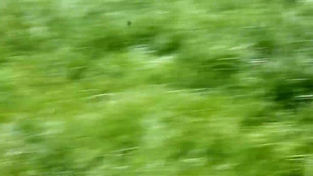 девочка биро смотреть онлайн